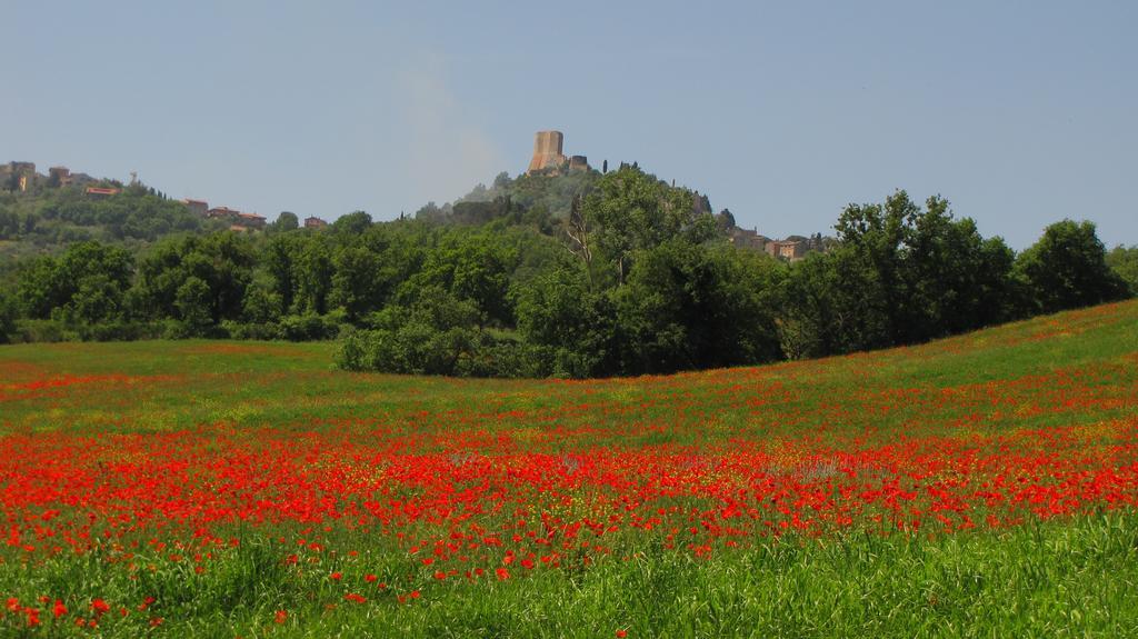 הוילה Castiglione dʼOrcia Al Piccolo Ulivo, A Casa Di Mimo&Se מראה חיצוני תמונה